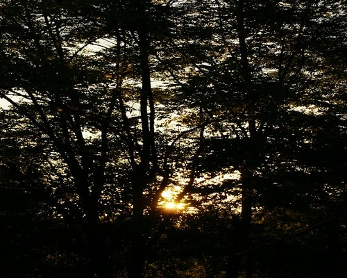 Peaceful evening light setting the mood for rest